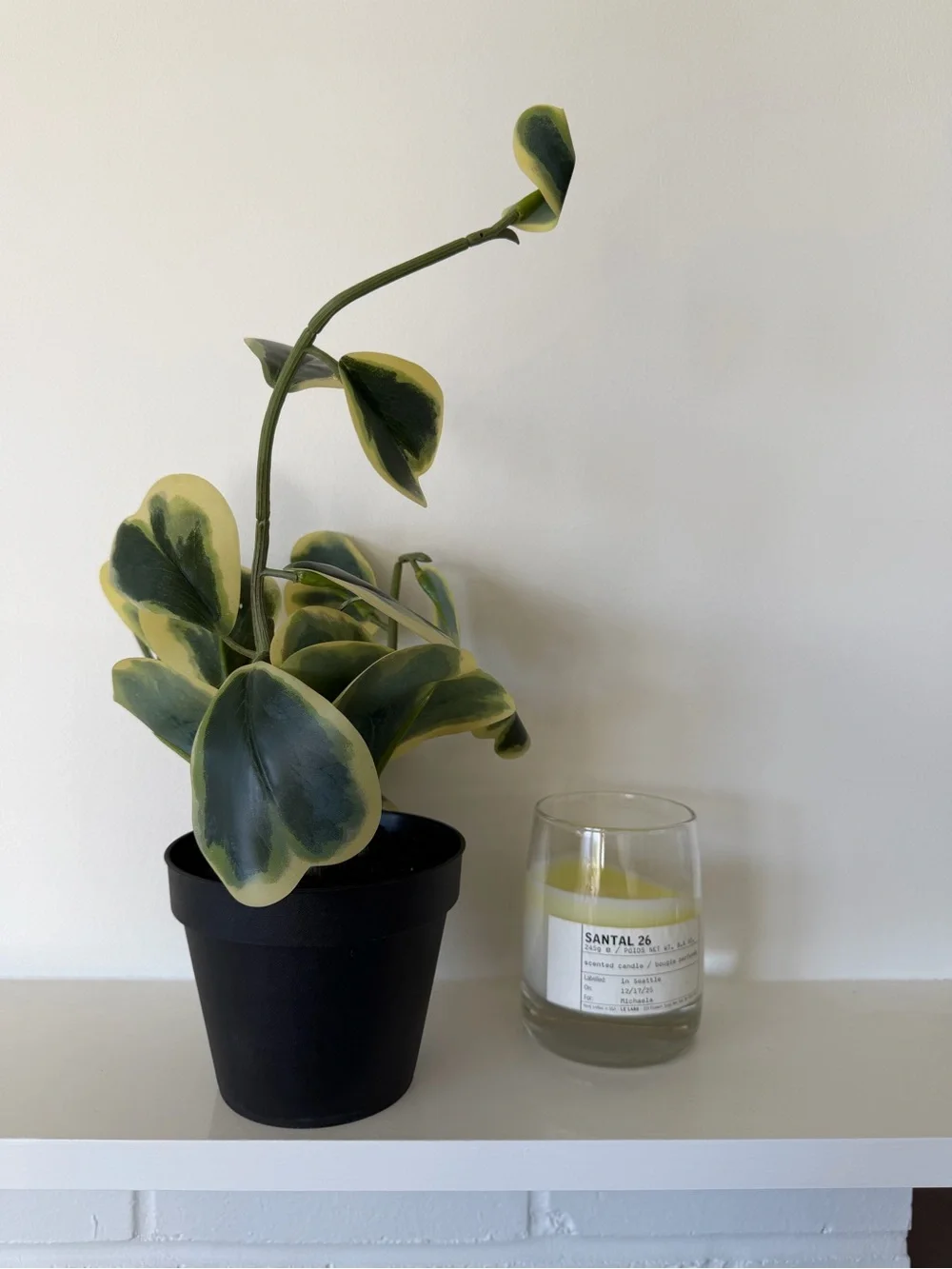 [NWOT] Faux Trailing Heart Plant